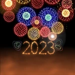 new years fireworks android application logo